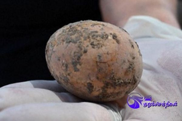 Archeologists discover 1000 year old egg